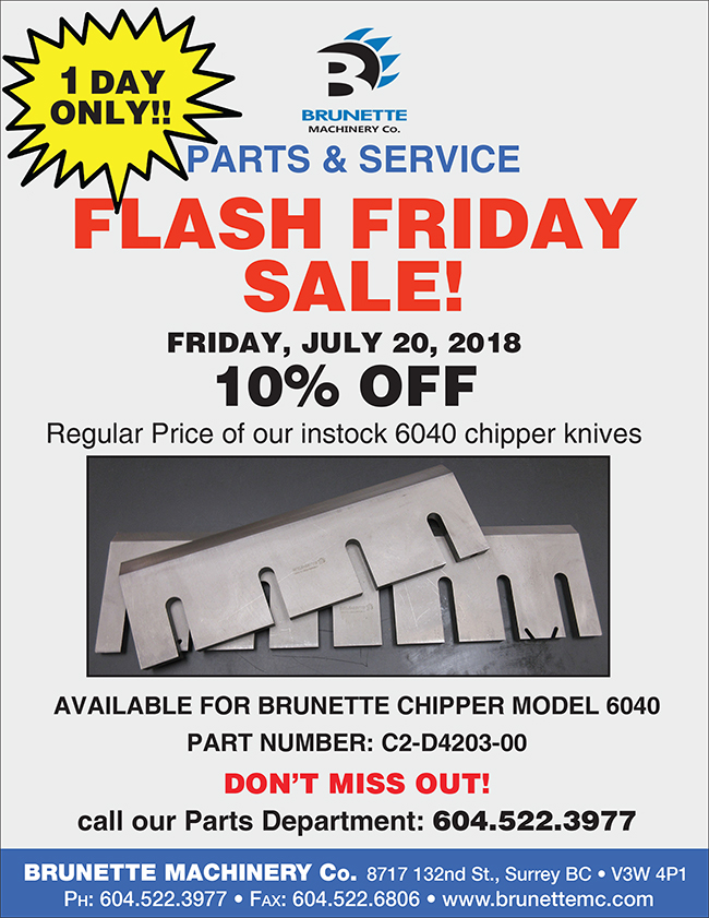 Flash Friday Sale Poster