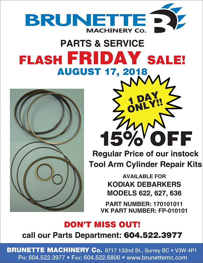 Flash Friday Sale flyer