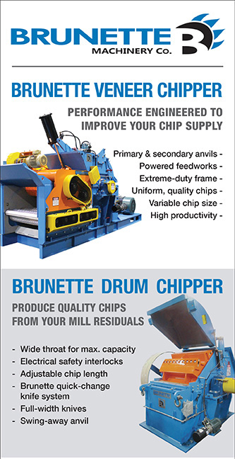 Brunette Ad image