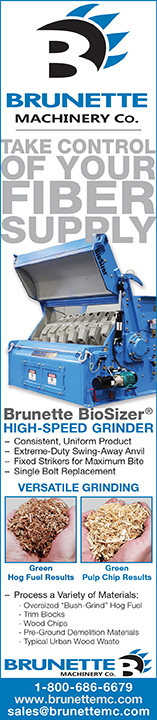 Brunette BioSizer Goes to High Level