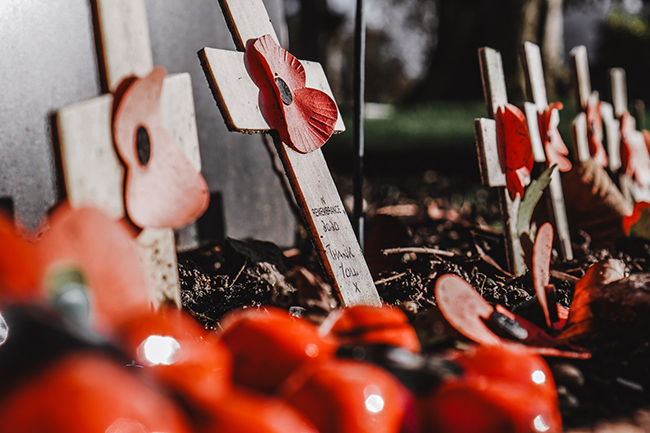 Image for Remembrance Day shows a row of crosses with poppies